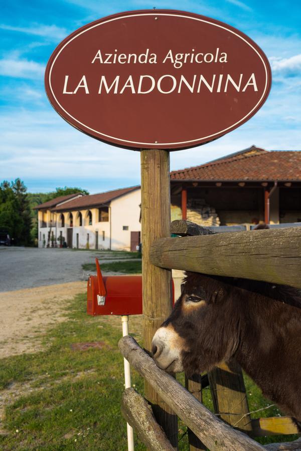 La Madonnina Agriturismo Dore 阿尔巴 外观 照片
